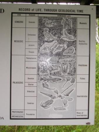 Geological Time Chart